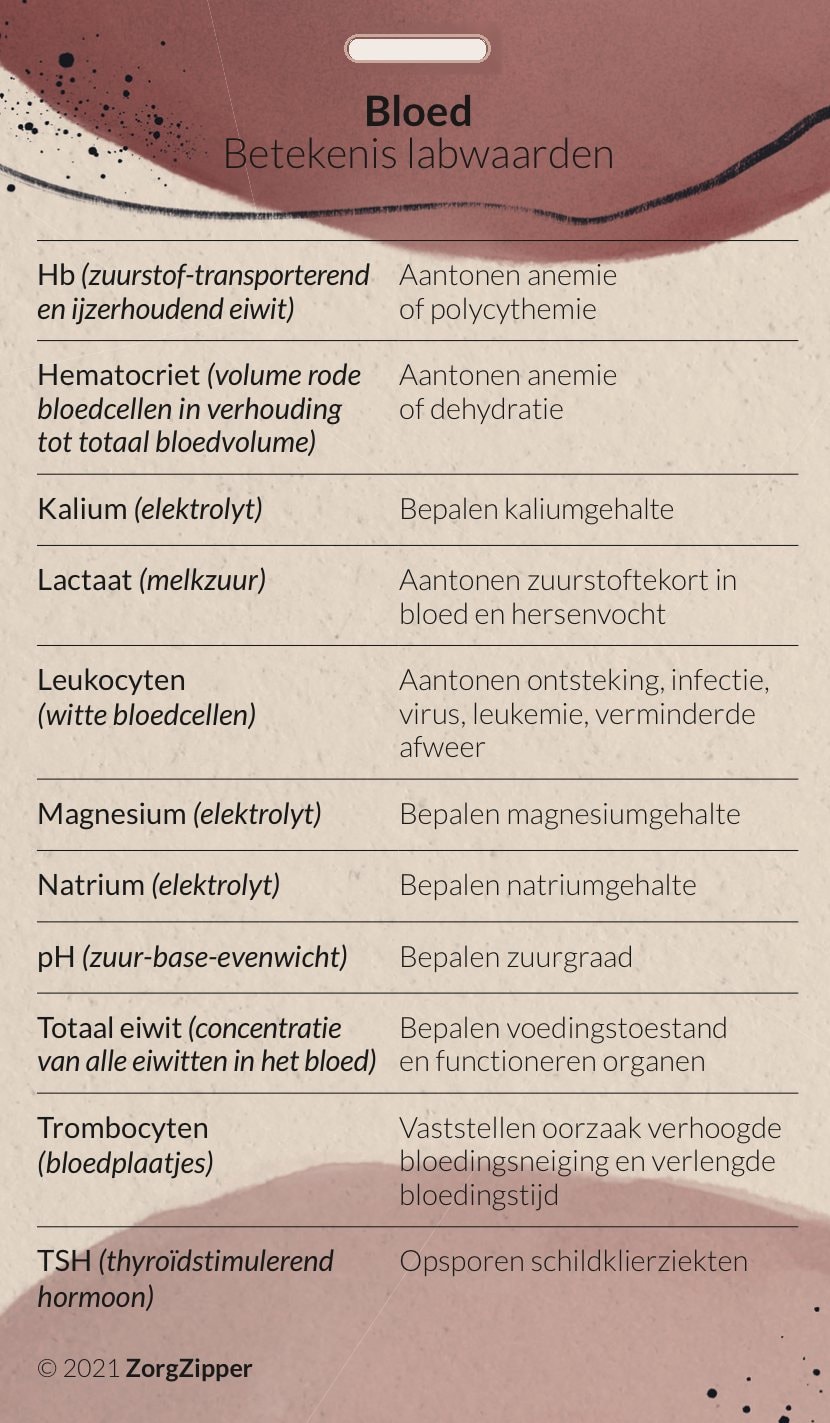 Achterkant van de kaart Bloed: betekenis labwaarden