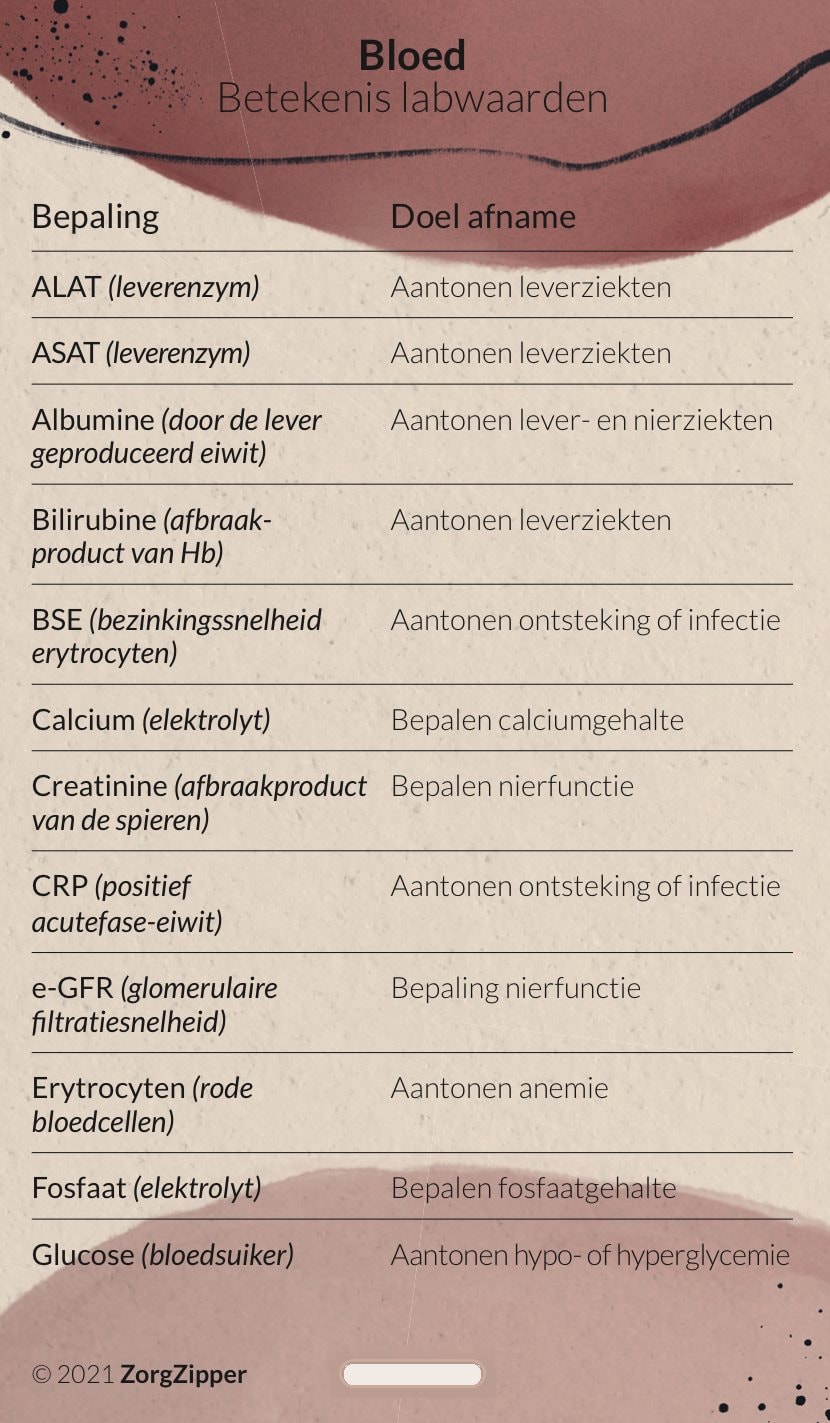 Voorkant van de kaart Bloed: betekenis labwaarden