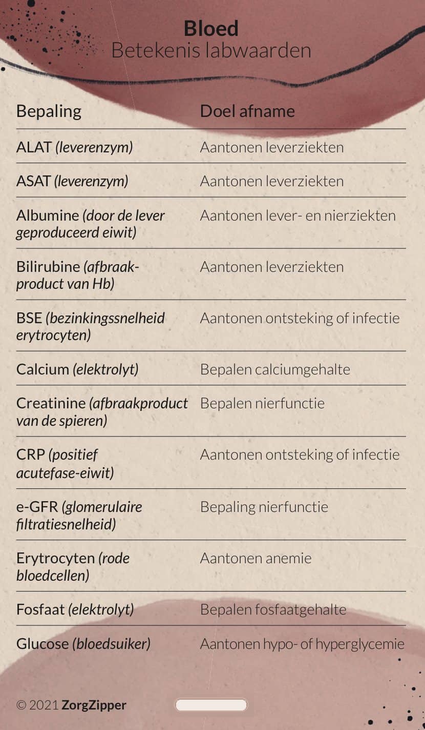 Bloed: betekenis labwaarden